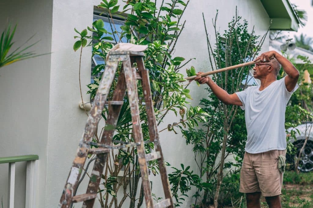 Man gardening, trimming plants with ladder nearby