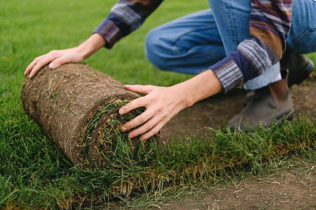 Person laying sod on a lawn