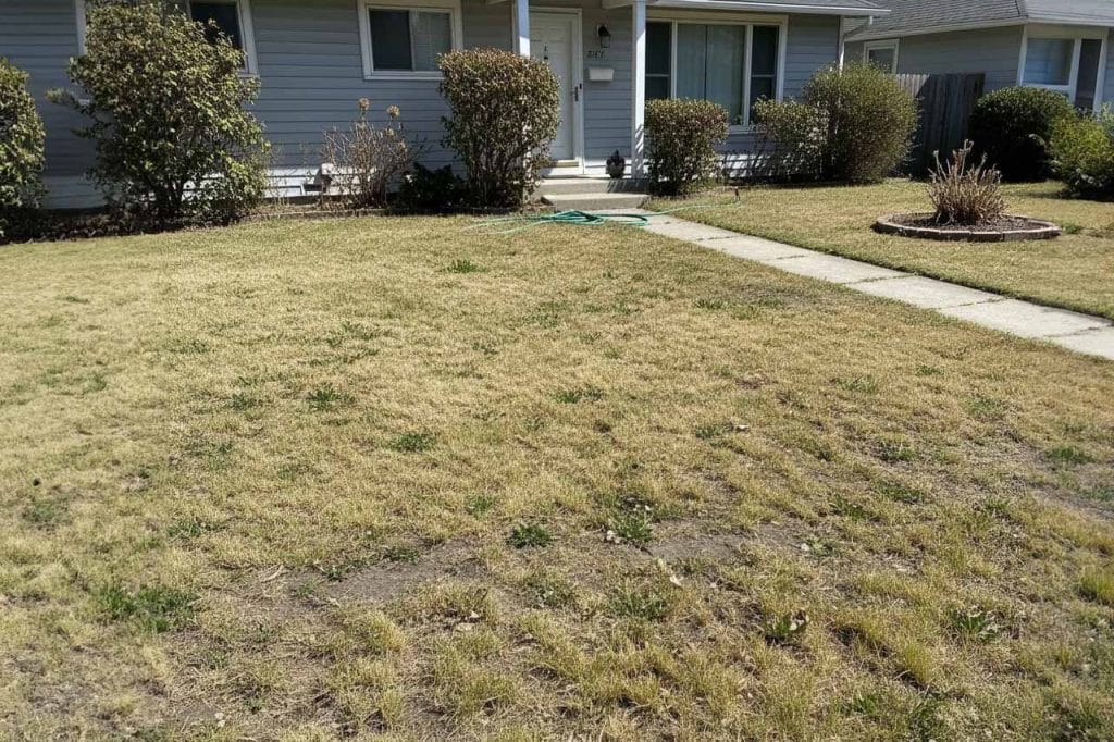 Front yard of house with dry grass